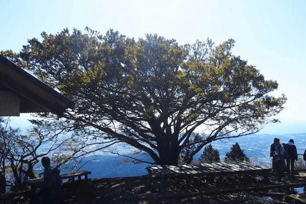 【神奈川】信仰の山、丹沢の大山に登ろう！1.jpg