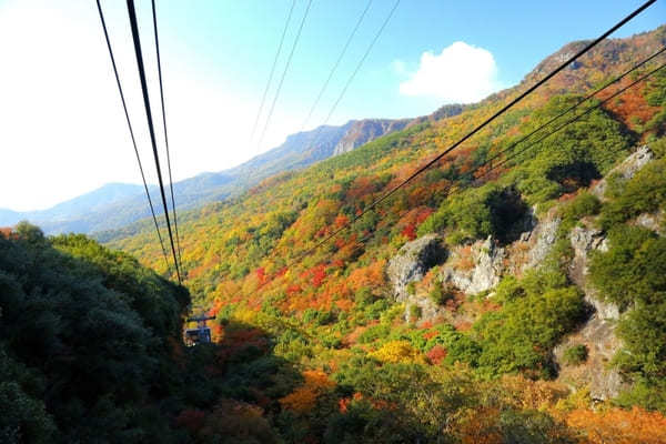 香川県の人気観光スポットTOP40！旅行好きが行っている観光地ランキング