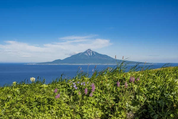 【北海道】宗谷岬にノシャップ岬も！稚内をめぐる観光モデルコース