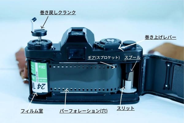 フィルムカメラに挑戦してみよう！初心者でも思い通りに撮るコツは？