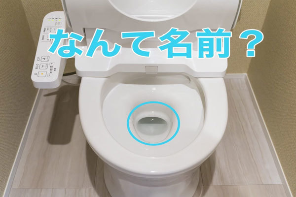 ＜なんて名前＞トイレの底にたまっている水にも名前があった！