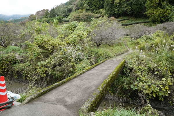 【神奈川・矢倉岳】神が宿る山で低山登山を楽しむ1.jpg