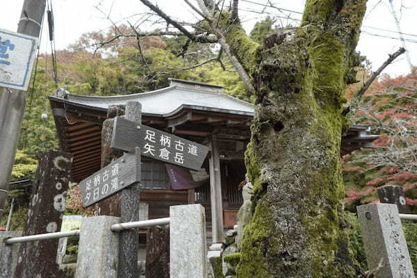 【神奈川・矢倉岳】神が宿る山で低山登山を楽しむ1.jpg