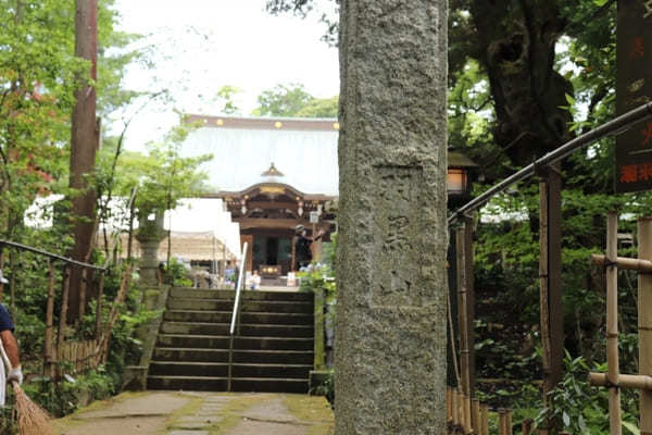 【茨城】山肌に1万株の紫陽花！二本松寺の見どころ7選