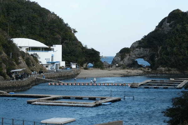 イルカやクジラと触れあい学べる・和歌山【太地町立くじらの博物館】1.jpg