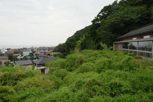 見どころいっぱい！鎌倉随一の楽しいお寺「長谷寺」を徹底ガイド