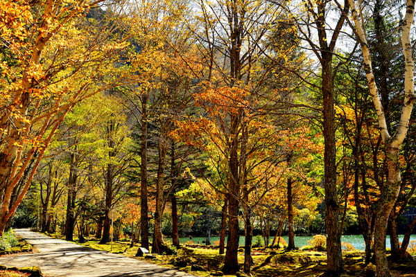 群馬の紅葉8選！東京から日帰りで行ける群馬県のおすすめ紅葉スポット