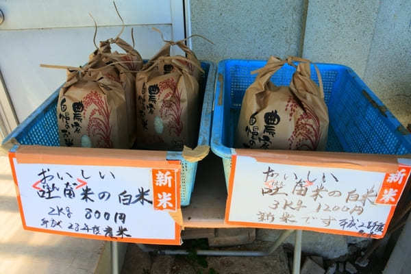 【奈良】一言で願ったら何でも叶う！葛城一言主神社と御所市おすすめスポット