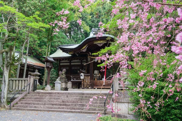 京都でおすすめの寺・神社49選！観光客に人気＆世界遺産の寺社リスト