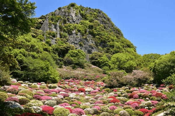 【2022】4月の国内おすすめ旅行先25選！春休み・GW旅行にもぴったりな観光地特集1.jpg