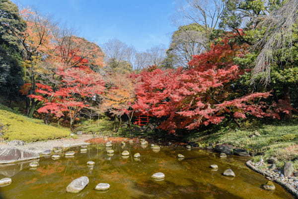 東京の紅葉名所19選！都会の真ん中で燃えるような紅葉を楽しもう！