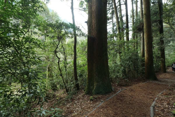 【熊本】大自然すぎる！菊池渓谷の見どころ7選＆合わせて楽しみたいカヤック体験