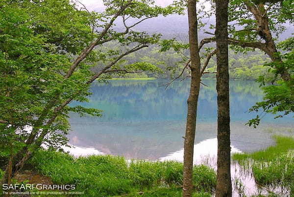 【総力取材】これぞ北海道！！大自然が感じられる道東の絶景スポット18選1.jpg