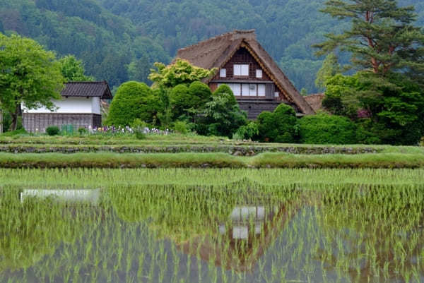 岐阜県の人気観光スポットTOP35！旅行好きが行っている観光地ランキング