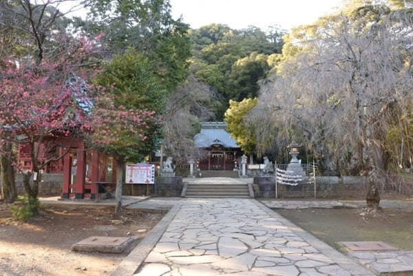 熱海の守護神！頼朝と政子が結ばれた伊豆山神社で縁結び祈願