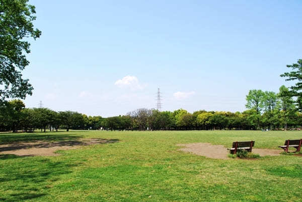 子どもと行きたい横浜のおすすめ公園22選！大型遊具・ロング滑り台など設備充実の公園特集