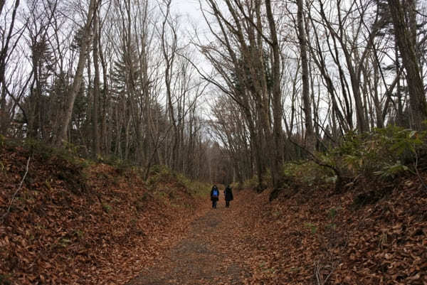 長野県・戸隠古道「神道」で戸隠神社3社巡り！神秘の鏡池と蕎麦も♪