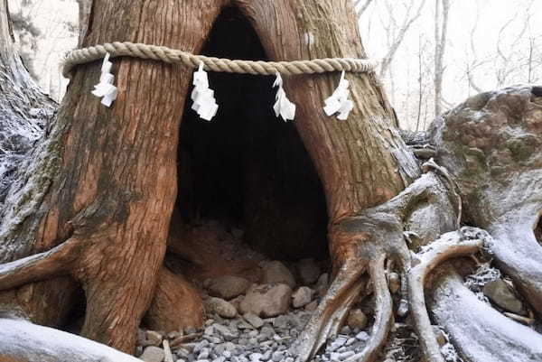 門の向こうは神々の世界！？神秘的なパワースポット戸隠神社奥社！1.jpg