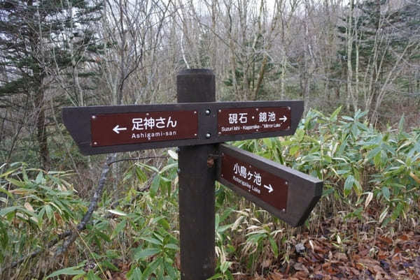 長野県・戸隠古道「神道」で戸隠神社3社巡り！神秘の鏡池と蕎麦も♪