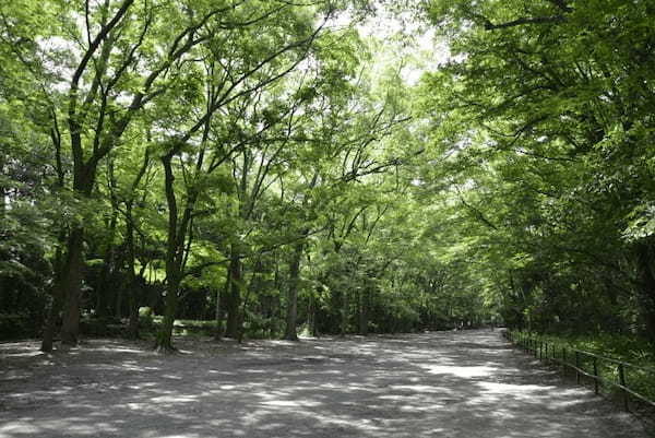 半日でめぐる上賀茂神社・下鴨神社おすすめ観光モデルコース【京都】1.jpg