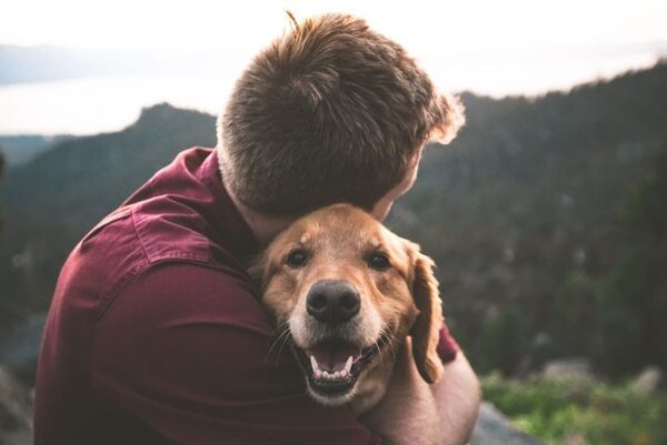 戌年生まれのあの人はどんな性格？男性、女性別に気になる特徴を徹底解説します