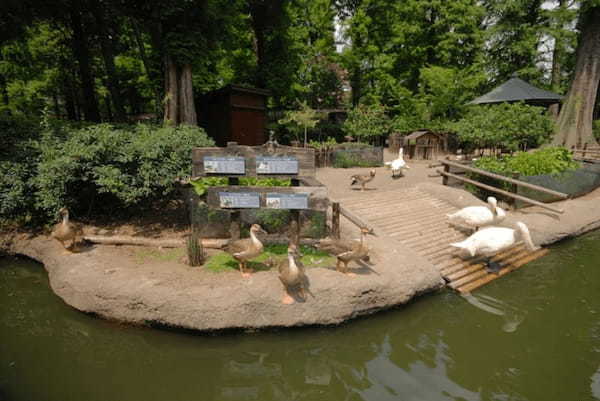 【2021年版】全国の人気動物園TOP19！みんなが行った動物園ランキング1.jpg