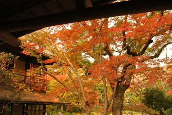 【京都】圧巻の「南禅寺」の紅葉と静寂の庭「無鄰菴」