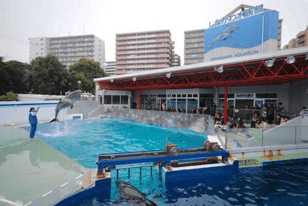 東京の人気水族館TOP5！都内の水族館をランキングで一挙紹介1.jpg