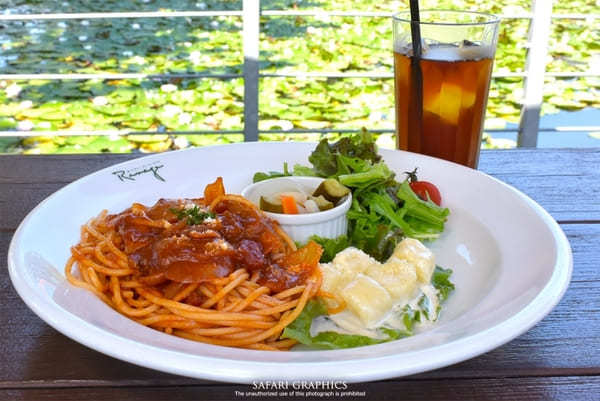 【北海道】大沼の美食と絶景を満喫！湖上テラスで優雅なクルーズランチ