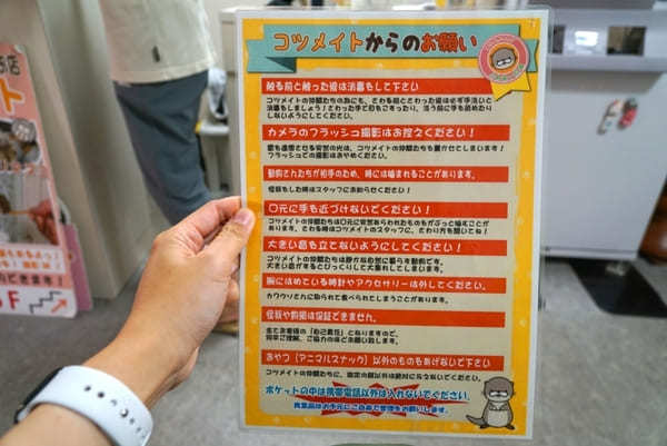 可愛いカワウソと触れ合える「コツメイト」【池袋】