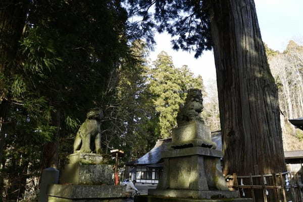 門の向こうは神々の世界！？神秘的なパワースポット戸隠神社奥社！1.jpg