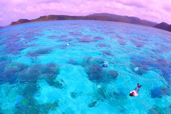 【西表島・オススメ観光ツアー】大自然を大満喫！「西表ツアーガイド・マリウド」で海も山も滝も楽しもう！