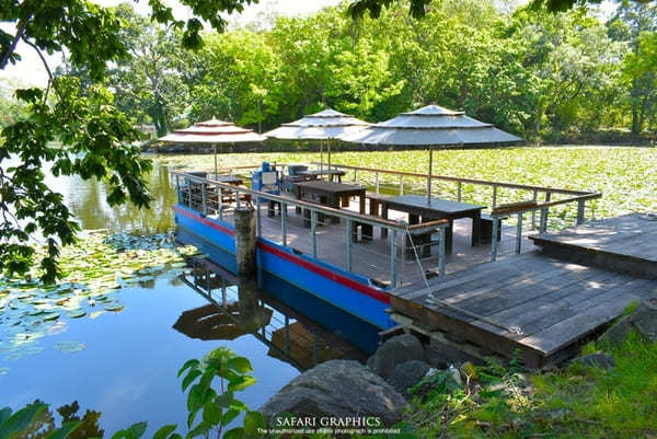 【北海道】大沼の美食と絶景を満喫！湖上テラスで優雅なクルーズランチ