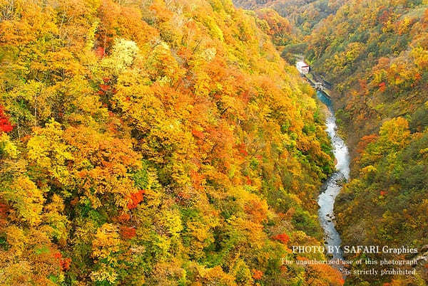 【北海道】札幌から日帰り圏内！ハズせない絶景紅葉スポット13選！