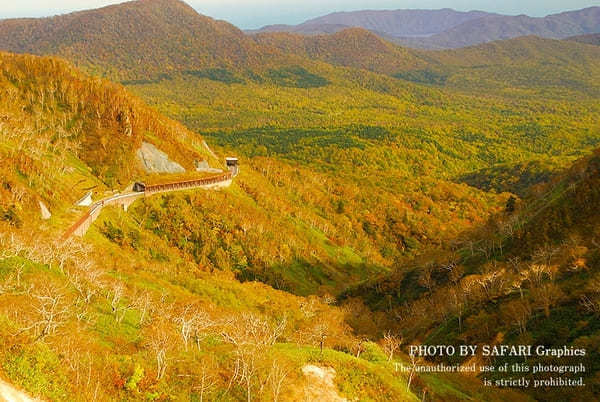 【北海道】札幌から日帰り圏内！ハズせない絶景紅葉スポット13選！