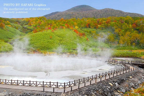 【北海道】札幌から日帰り圏内！ハズせない絶景紅葉スポット13選！