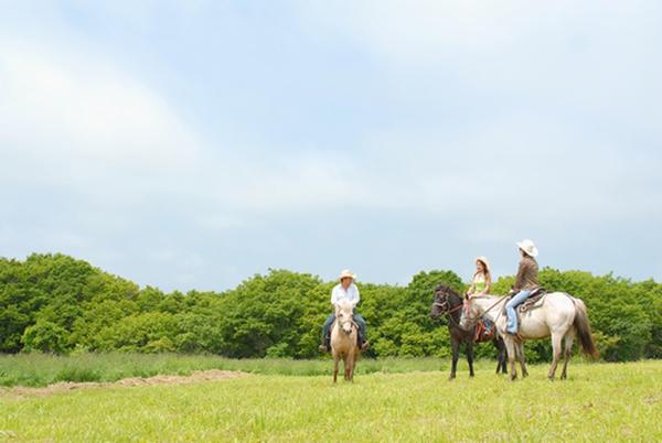 結婚式の二次会、忘年会、パーティやイベントを盛り上げるために、なくてはならないのがイベント、そのなかでも特に多くの主催の方々が頻繁に企画するのがビンゴ大会です。