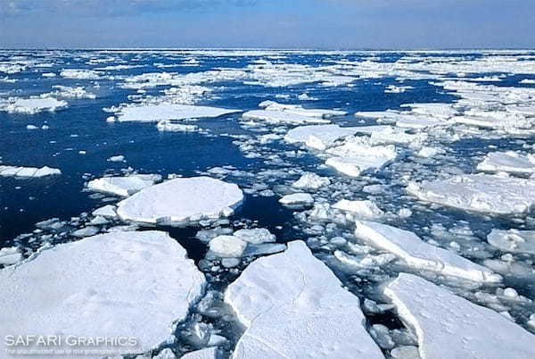 【総力取材】これぞ北海道！！大自然が感じられる道東の絶景スポット18選1.jpg