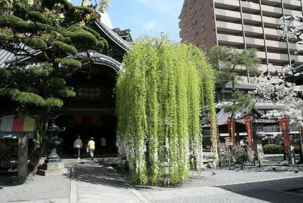 京都・縁結びの神社＆寺院13選！京都のパワースポットで恋愛成就を祈願しよう