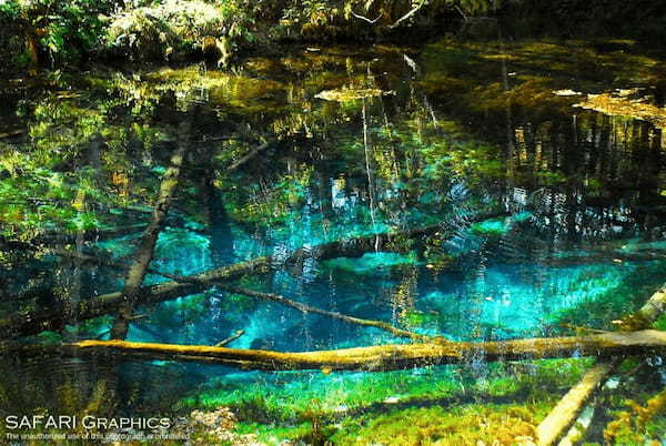 【総力取材】これぞ北海道！！大自然が感じられる道東の絶景スポット18選1.jpg