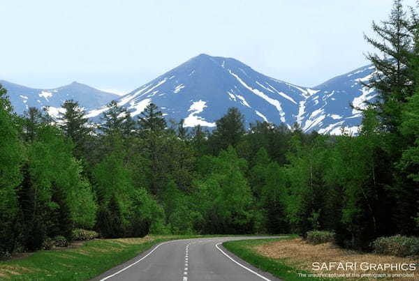 北海道・美瑛町の人気観光スポットTOP15！旅行好きが行っている観光地ランキング