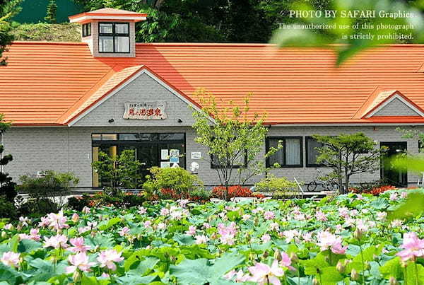 【北海道・東胆振】日帰り入浴で気軽にリフレッシュ！東胆振の温泉・温浴施設7選！1.jpg