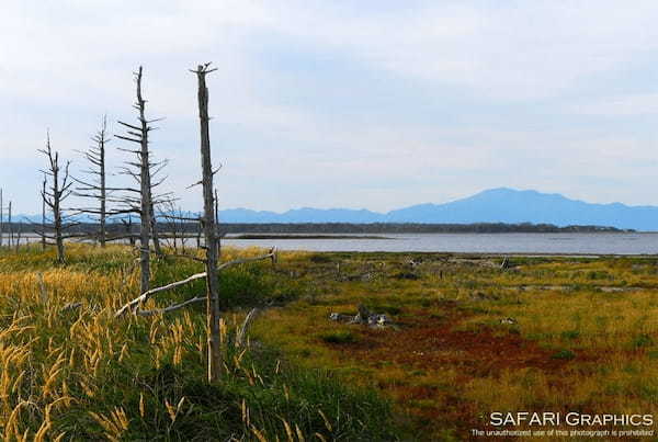 【総力取材】これぞ北海道！！大自然が感じられる道東の絶景スポット18選1.jpg