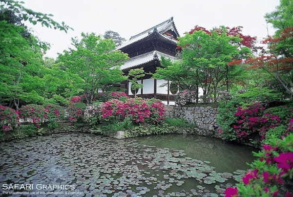 【岡山県】行って良かった神社・仏閣・名城・史跡スポット8選1.jpg