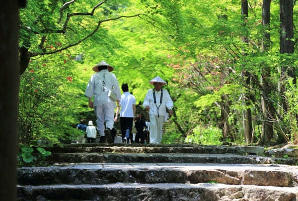 四国八十八ヶ所を1日で巡った事に出来る!?弘法大師生誕の地、香川で巡る初心者向けゆる遍路