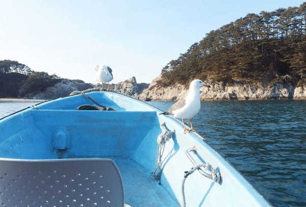 岩手・三陸の景勝地「浄土ヶ浜」で、”青の洞窟”へ行ってみよう！1.jpg