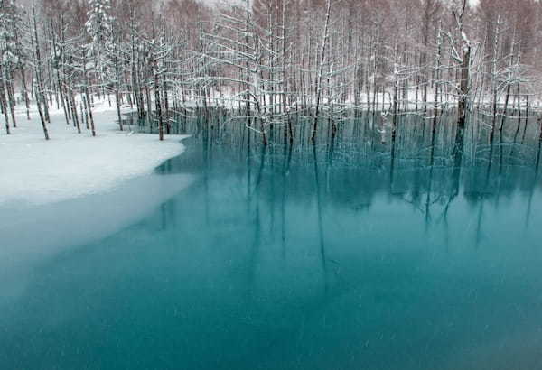 静かな森で雪と光の演出を、北海道・美瑛の青い池ライトアップ1.jpg