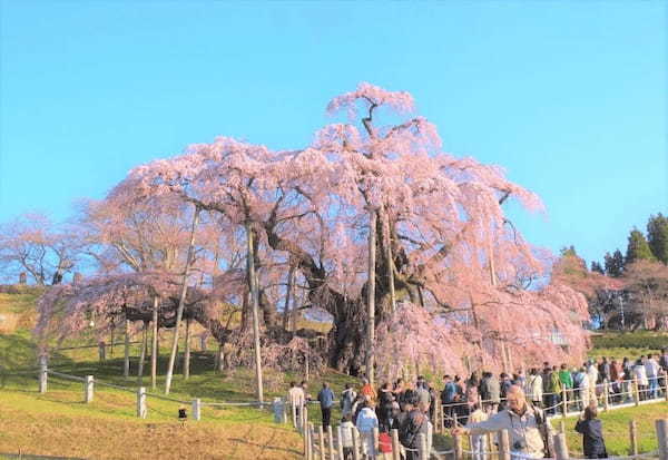 【2022】4月の国内おすすめ旅行先25選！春休み・GW旅行にもぴったりな観光地特集1.jpg