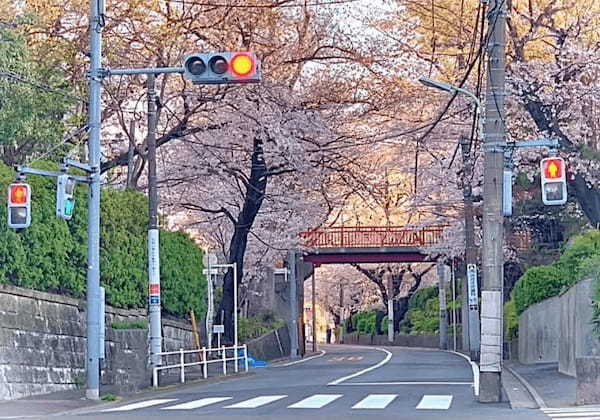 ローカルな雰囲気がたまらない！東急多摩川線沿線の見どころ7選【大田区】1.jpg