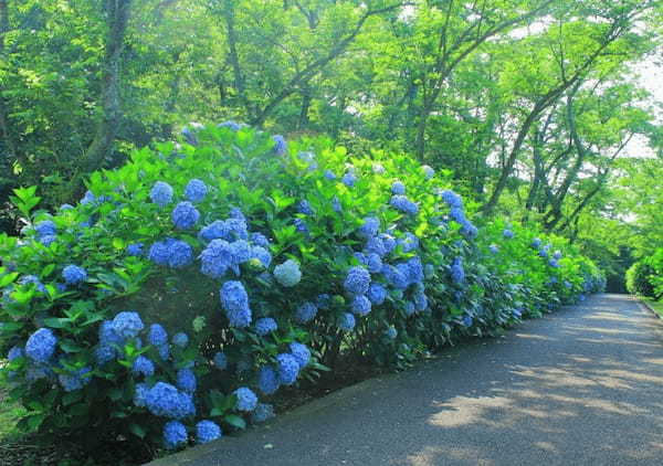 秘密にしたいほど美しい！瀬戸内海を見晴らす絶景・香川「紫雲出山（しうでやま）」1.jpg